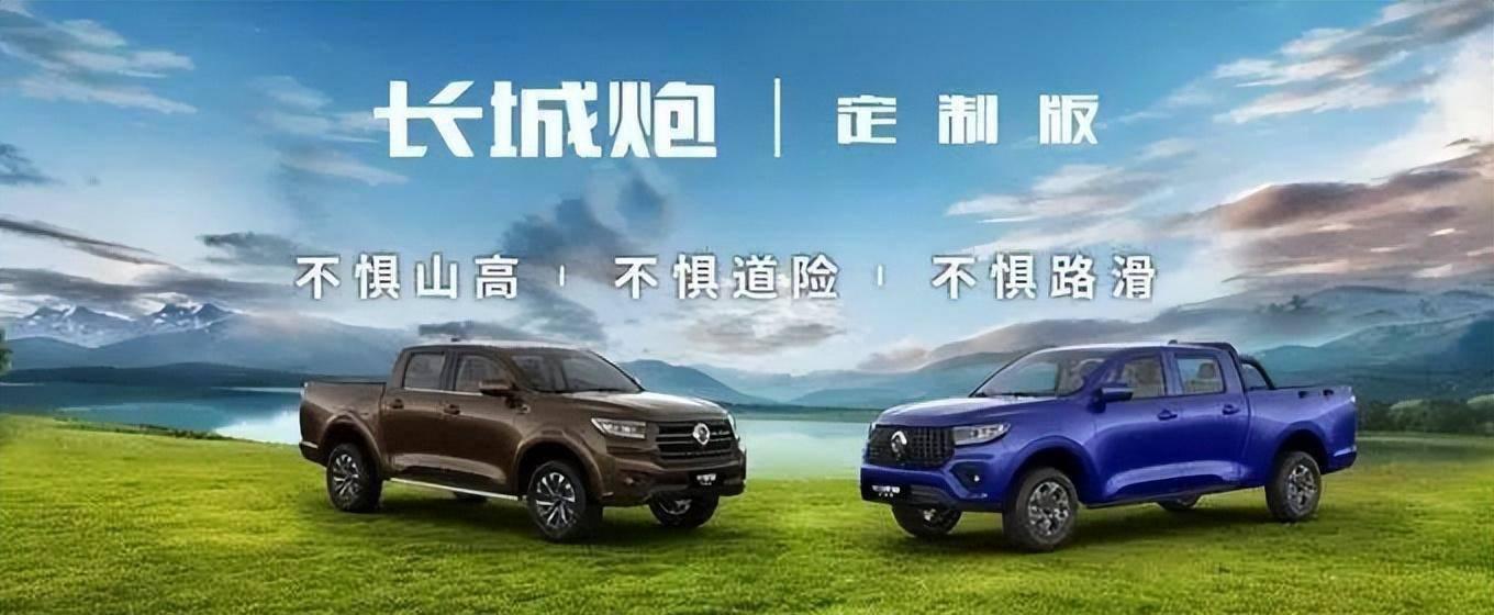 长城皮卡风骏5柴油版_长城皮卡价格及图片大全_长城皮卡
